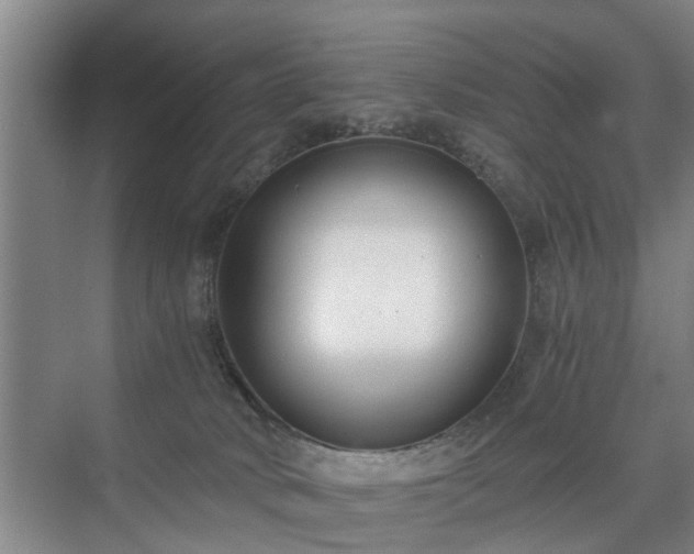 X0000071350034200606301704