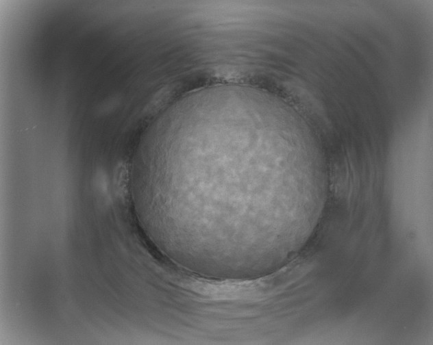 X0000071350036200606301704