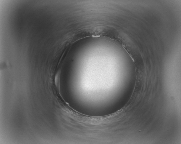 X0000071350037200606301704