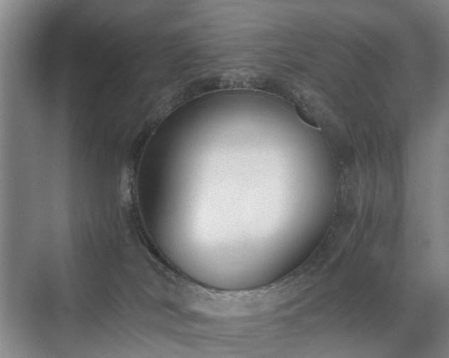 X0000071350038200606301703