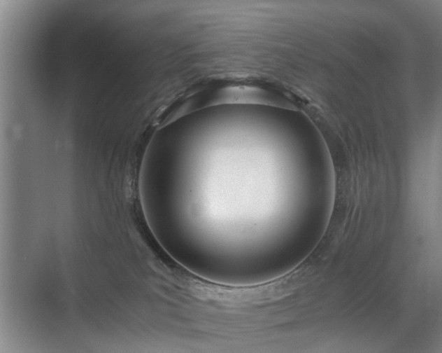 X0000071350039200606301703