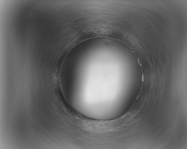 X0000071350040200606301703