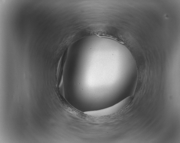 X0000071350041200606301703