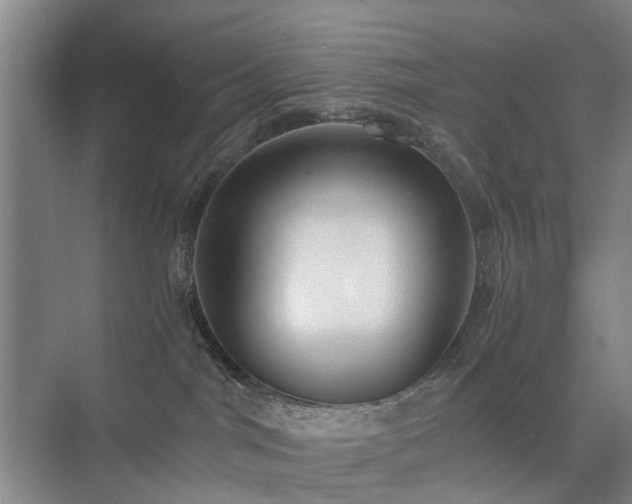 X0000071350044200606301703