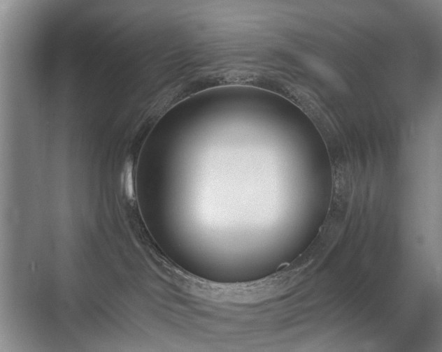 X0000071350046200606301703