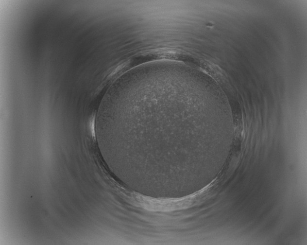 X0000071350047200606301703