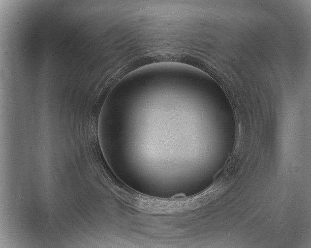 X0000071350048200606301703