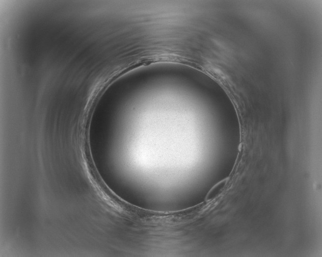 X0000071350049200606301703