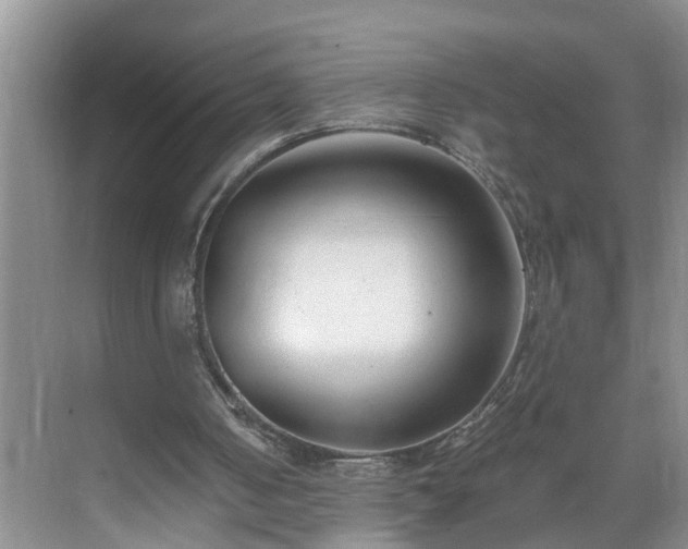 X0000071350050200606301703