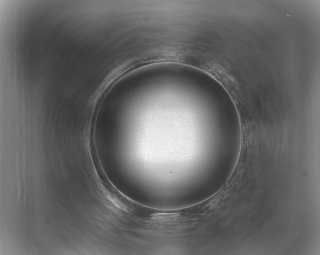 X0000071350051200606301703