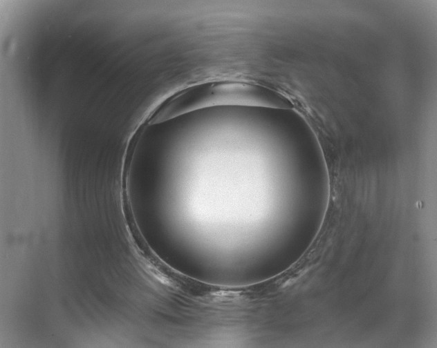 X0000071350052200606301703