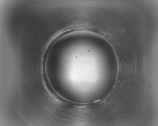 X0000071350054200606301703