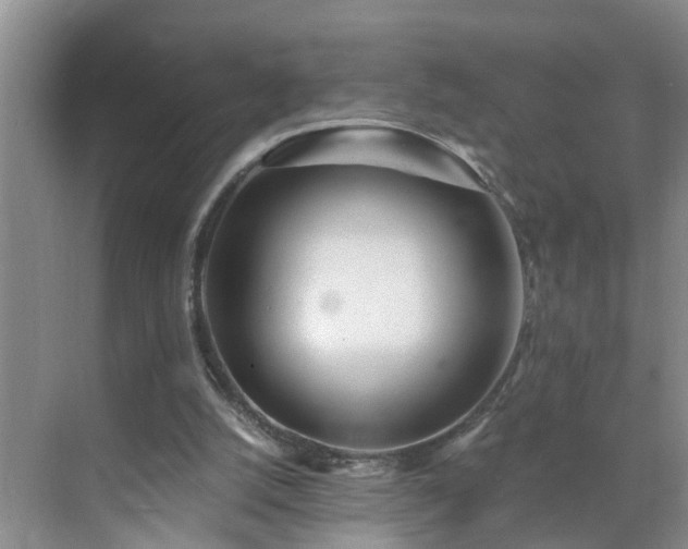 X0000071350056200606301703