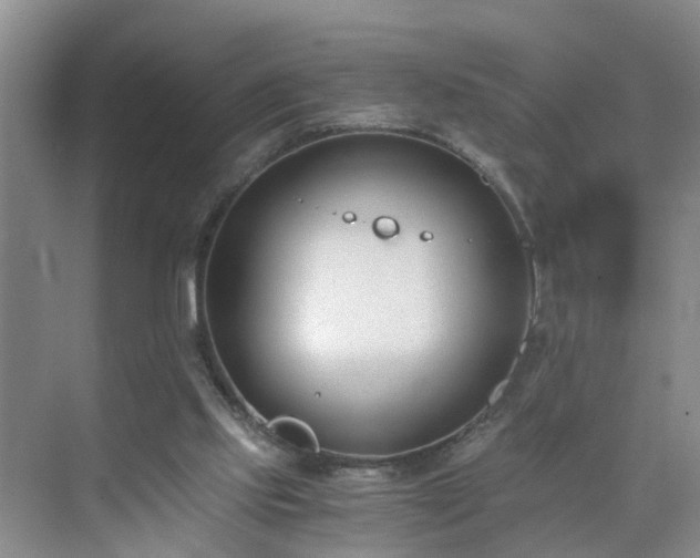 X0000071350061200606301703