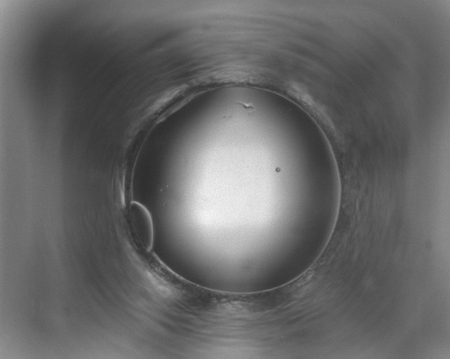 X0000071350062200606301703