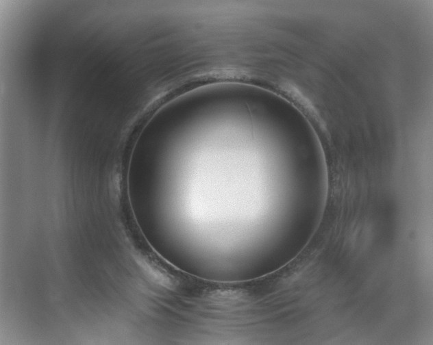 X0000071350063200606301703