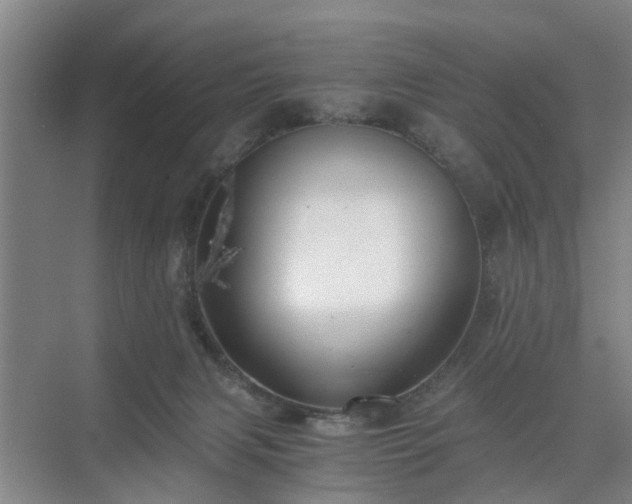 X0000071350079200606301703