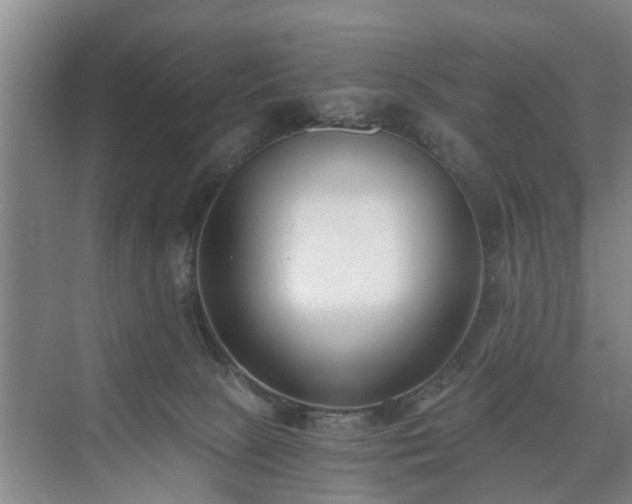 X0000071350081200606301703