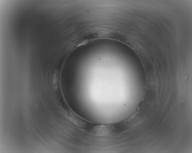 X0000071350082200606301703