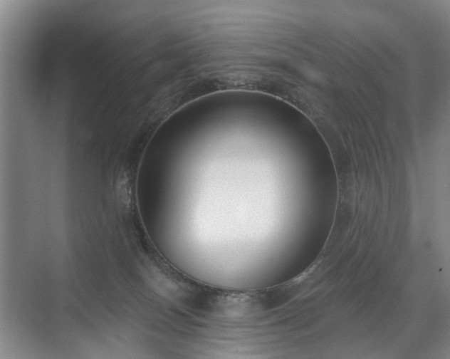 X0000071350086200606301703