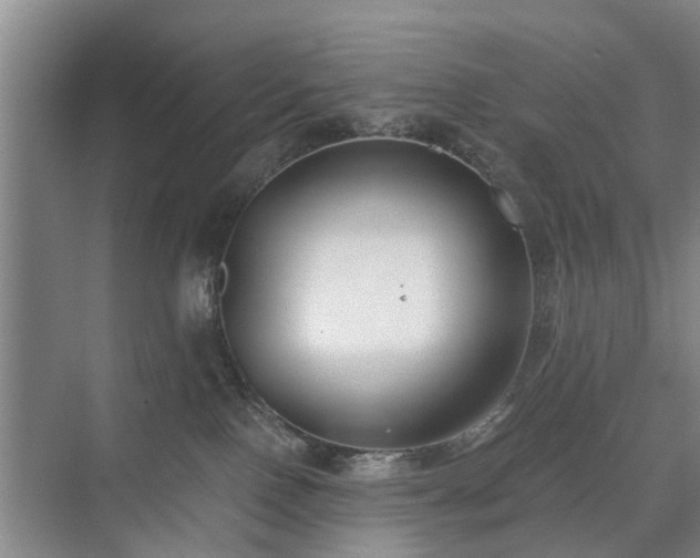 X0000071350090200606301703