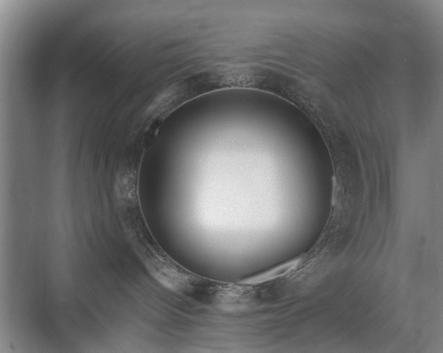 X0000071350096200606301703