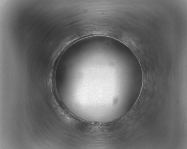 X0000071350098200606301702