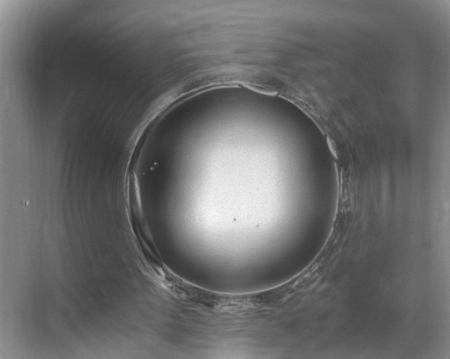 X0000071350099200606301702