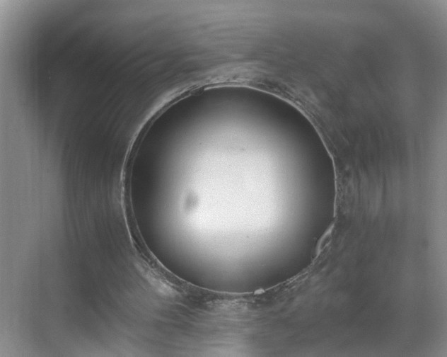 X0000071350100200606301702