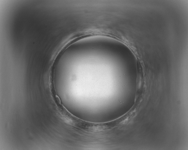 X0000071350103200606301702