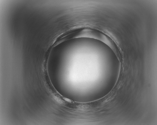 X0000071350105200606301702