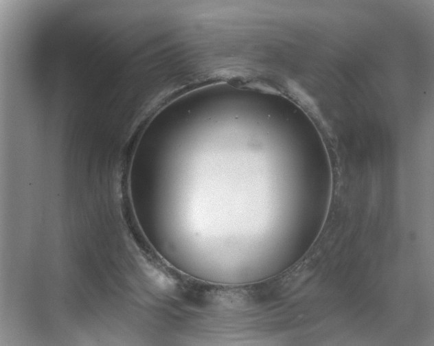 X0000071350106200606301702