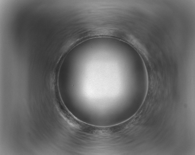 X0000071350107200606301702