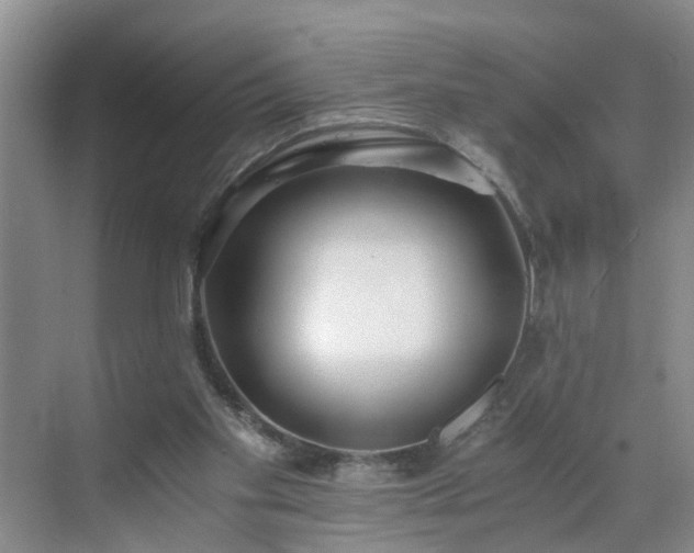 X0000071350109200606301702