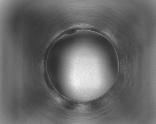 X0000071350111200606301702