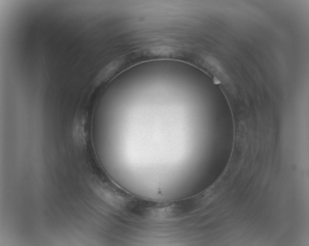 X0000071350116200606301702