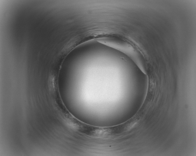 X0000071350117200606301702