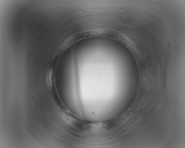 X0000071350118200606301702