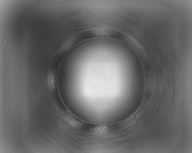 X0000071350124200606301702