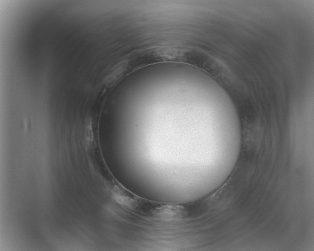 X0000071350128200606301702