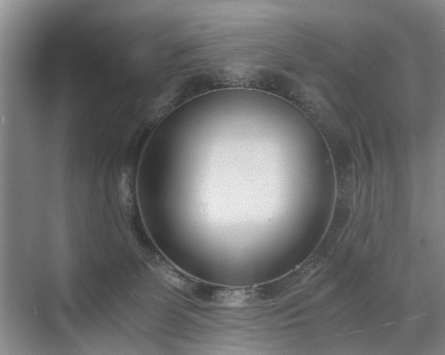 X0000071350131200606301702