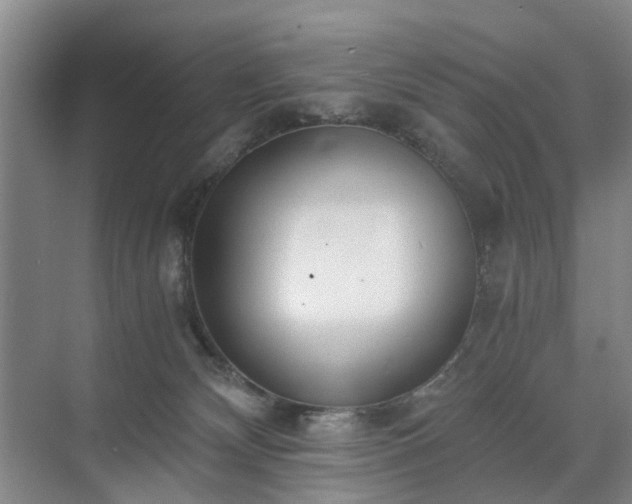 X0000071350132200606301702