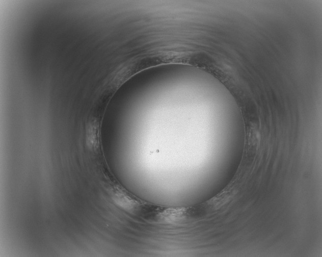 X0000071350138200606301702