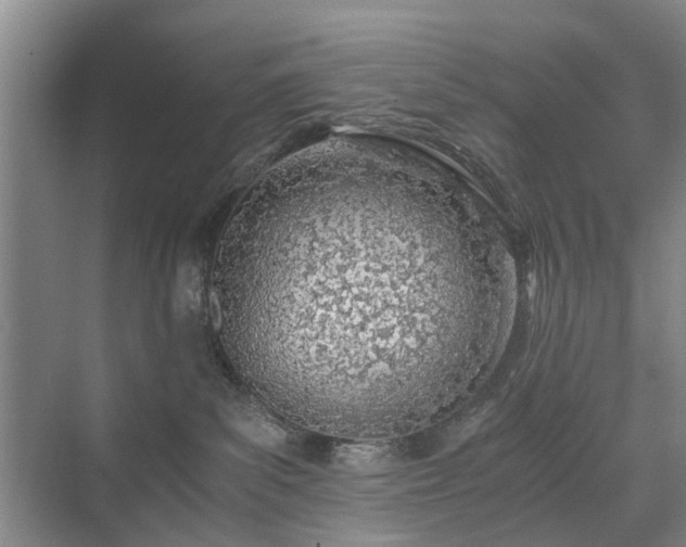 X0000071350139200606301702