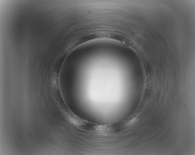 X0000071350141200606301702