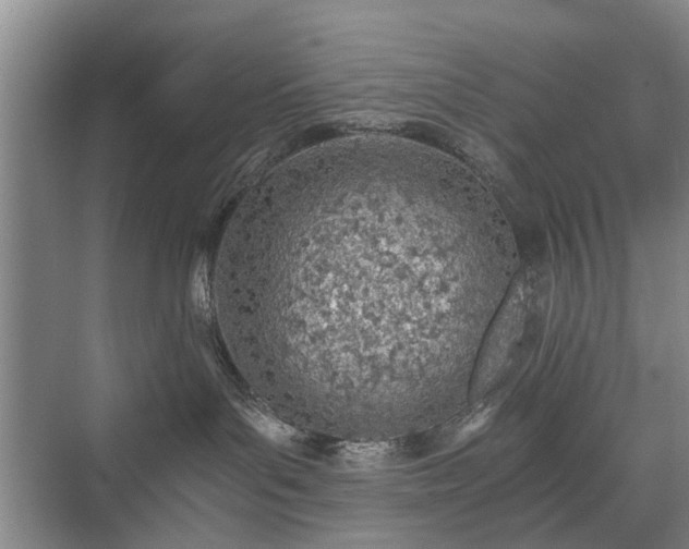 X0000071350143200606301702