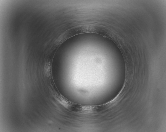 X0000071350144200606301702