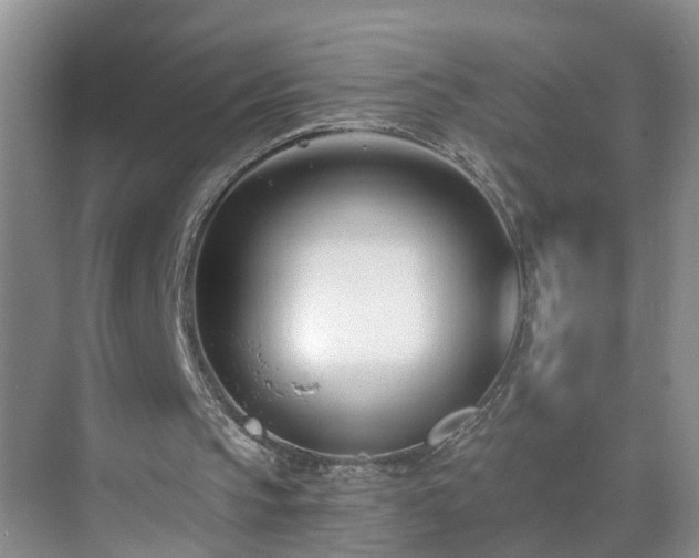 X0000071350145200606301701