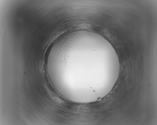 X0000071350146200606301701