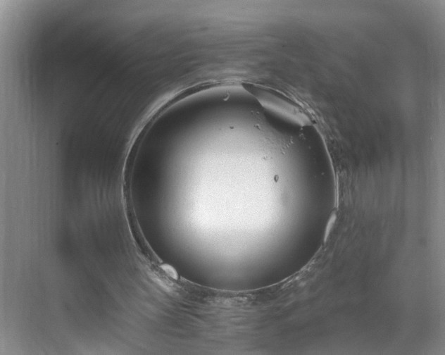 X0000071350147200606301701